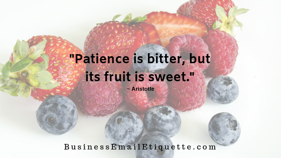 Patience and Business Email Response Time